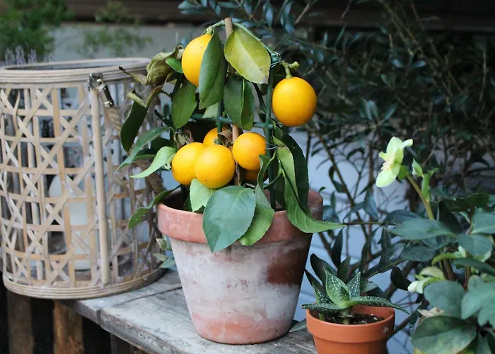 House Bedrooms Апартаменты *