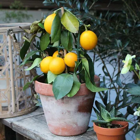 House Bedrooms Apartmán *